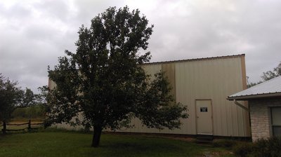 During a light rain from Hurricane Harvey