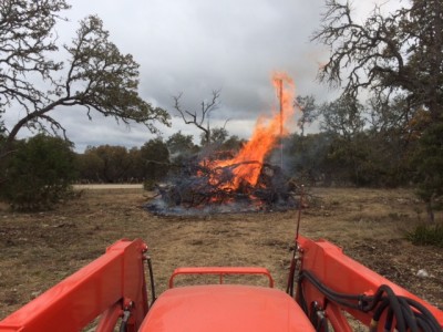 Typical of the 48 burn piles, so far, many dead trees left to burn.