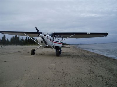 Cook Inlet Beach, West Side.