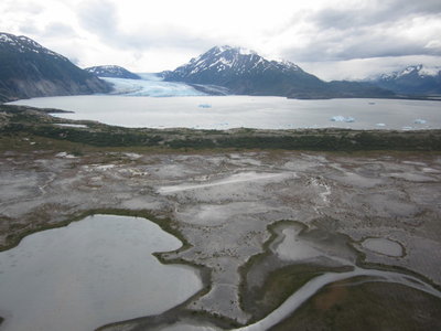 Mud Flat Strip