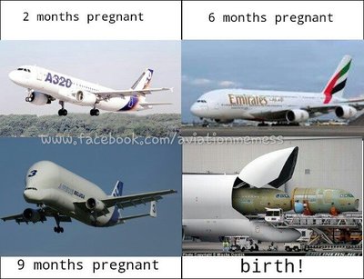 airplane birth.jpg